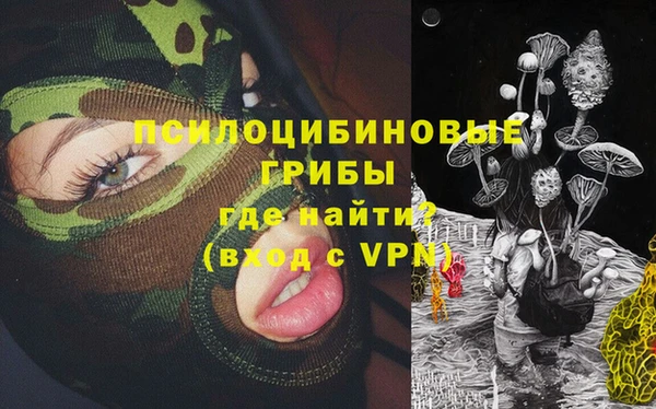 PSILOCYBIN Зеленодольск